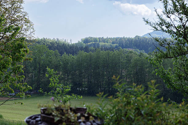 Panoramic view of the field and hills covered with forest on a spring day