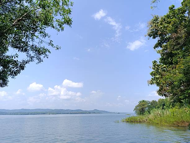 istock Tranquil lake scenery with green trees 2214961144