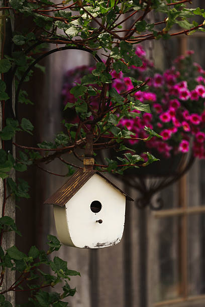 istock Birdhouse and Petunias 2214962277