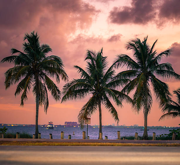 istock sunset over the beach tropical 2214963459