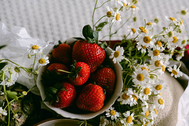 istock Fresh strawberries and chamomile flowers 2214963573