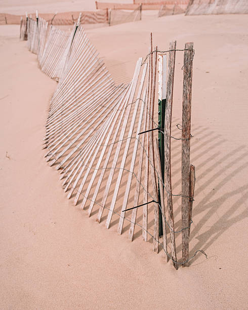 istock Oval Beach in the Spring- Lake Michigan 2214963681