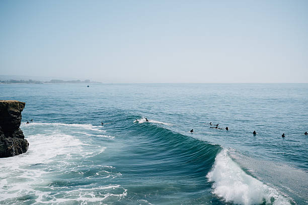 Surfers wading in pacific ocean waiting for waves in Santa Cruz, California, United States