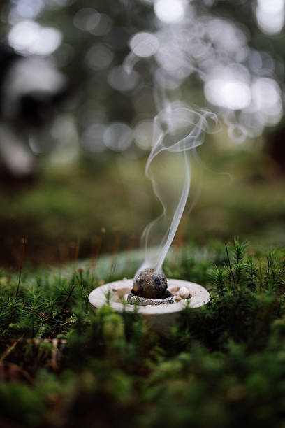 istock Smoking incense ball in a forest bowl surrounded by moss 2214963829