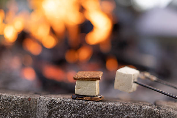 istock smores being made by the edge of a fire 2214964008