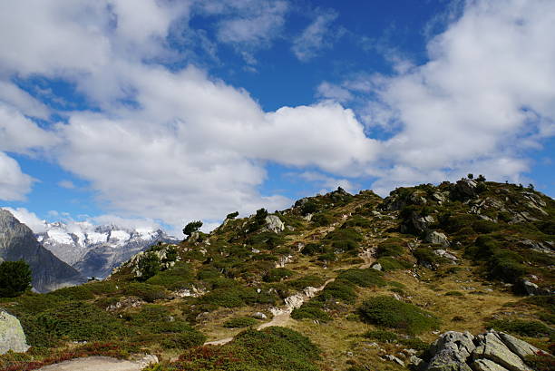 istock view from Aletschwald Trail in Switzerland 2214966567