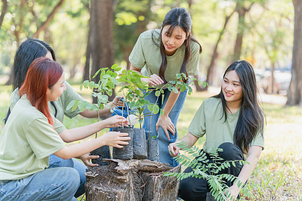 istock Young Female Volunteers Team Planting Tree for Environmental Conservation, Eco-Friendly Group Activity 2214967528