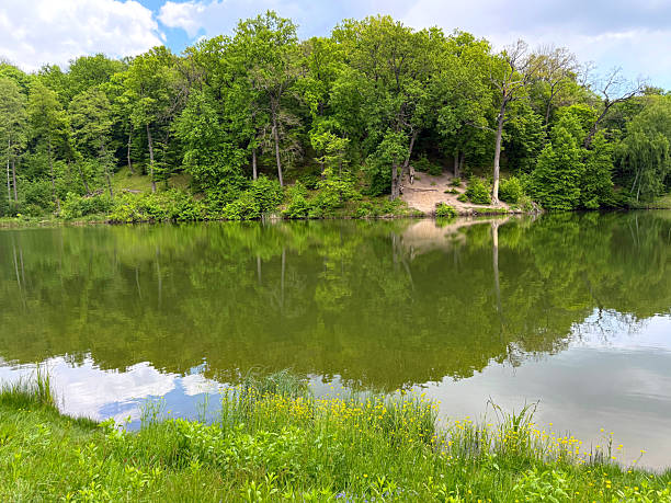 istock Green forest and lake in summer. 2214972140