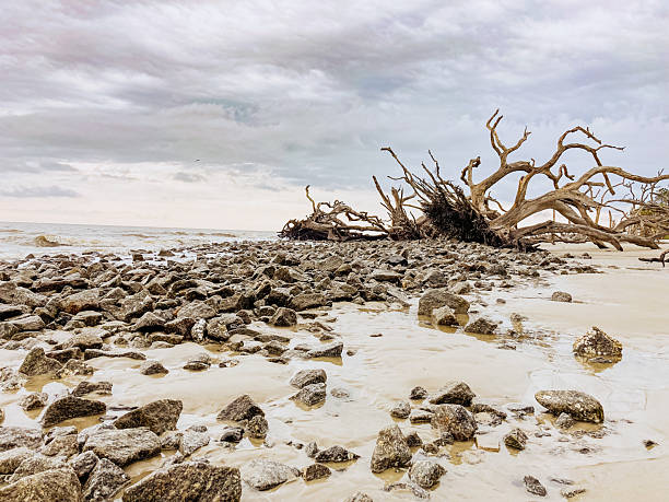 The Driftwood Beach, located on Jeckle Island, Georgia, is a stunning mix of dead trees and sandy beaches. The combination of the driftwood and beach surrounds creates unique views.