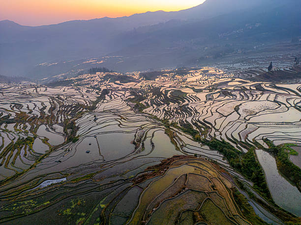 istock Terraced Rice fields filled with water during spring, Yuanyang, Yunnan, China. 2214972999