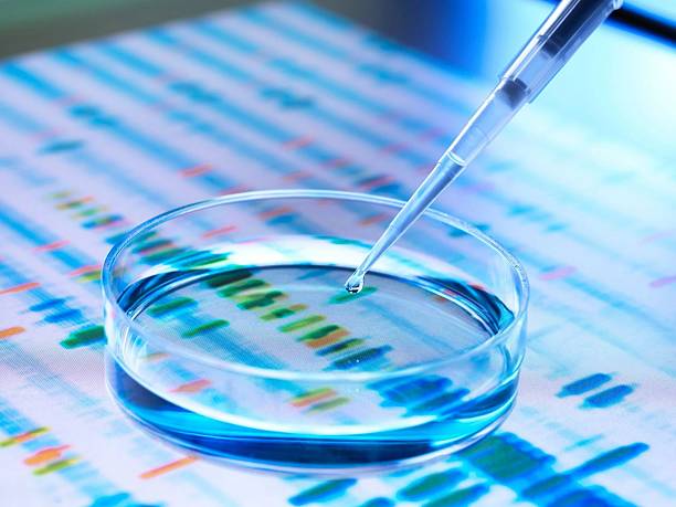 istock A pipette dispensing a drop of liquid into a petri dish, laboratory science concept with genetic research. 2214984670