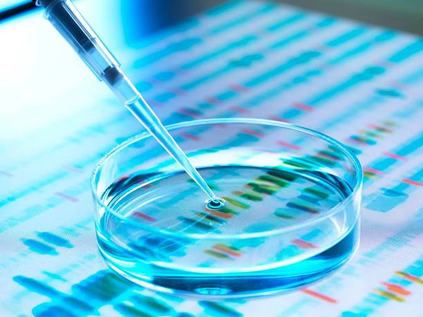 istock A pipette dispensing a drop of liquid into a petri dish, laboratory science concept with genetic research. 2214984699