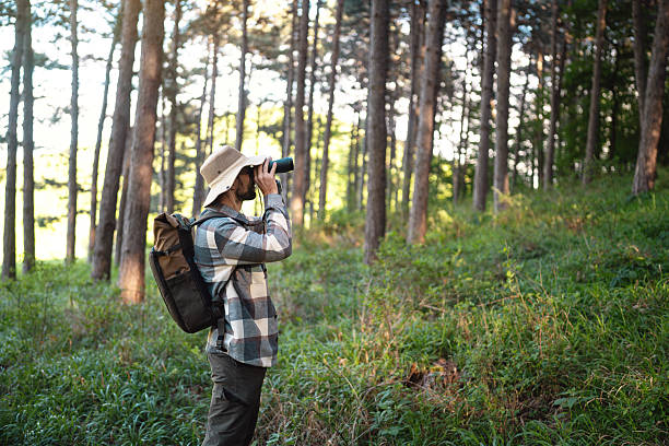 istock Man observing bird in nature with binoculars in a lush forest setting 2214991269