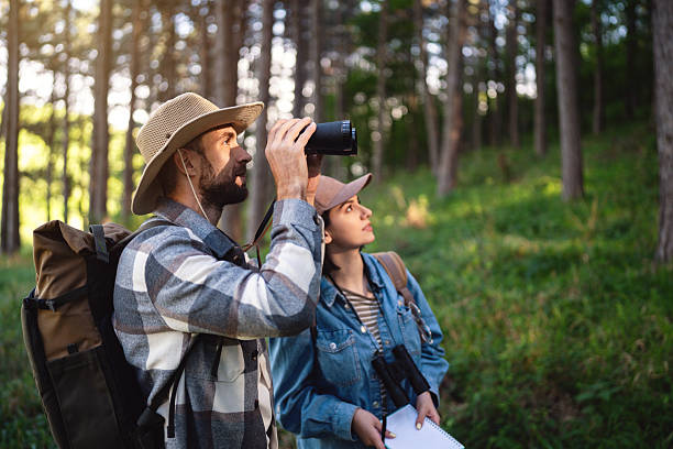 istock Young explorers birdwatching in a serene forest with natural surroundings 2214991498