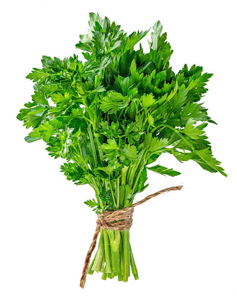 istock Bunch of fresh parsley herb isolated on white background 2214992900