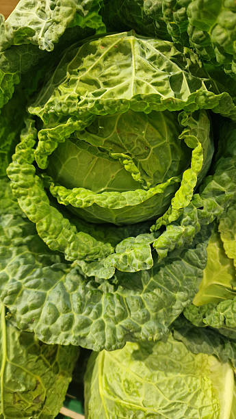 istock Close-up of a very large lettuce 2214992922