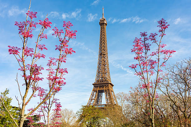 Eiffel Tower in spring, Paris, France