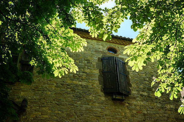 A charming stone structure with wooden shutters rests beneath vibrant green foliage, creating a serene atmosphere. The sunlight filters through the leaves, enhancing the tranquil setting.