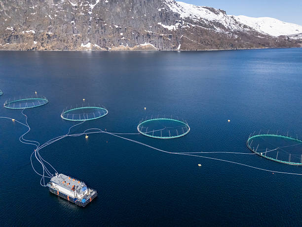 istock Fish Farm with Floating Nets in Scenic Mountain Lake 2215000898