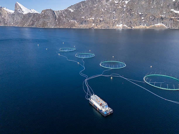 istock Fish Farm with Floating Nets in Scenic Mountain Lake 2215000983