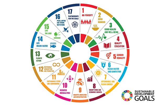 istock Goals for addressing poverty worldwide and realizing sustainable development. SDGs illustration vector 2215003064