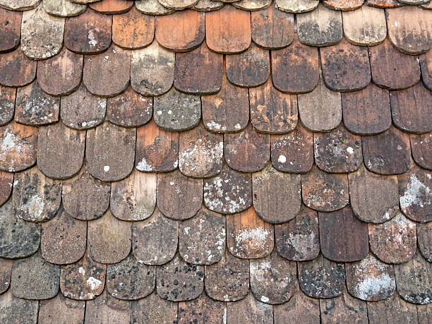 istock Surface of uniformly shaped roof tiles as background 2215005492