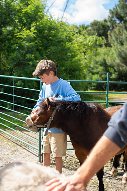 istock Young boy gently petting a pony in a farm enclosure 2215007689
