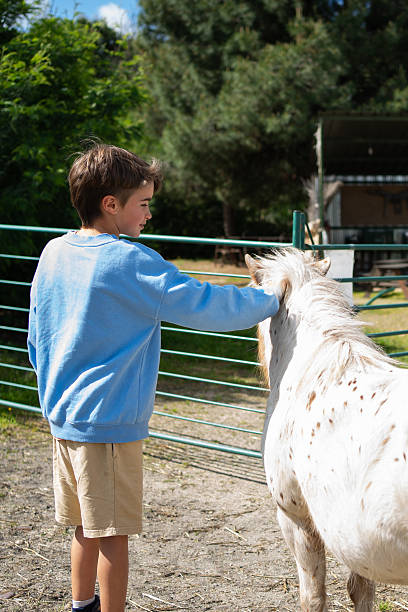 istock Young boy caressing a white appaloosa pony in a ranch 2215007719