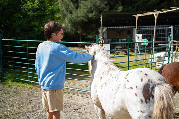 istock Young boy gently petting a spotted pony at a farm 2215007720