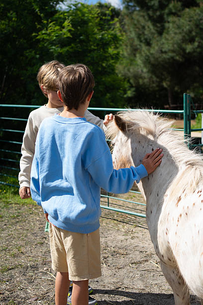 istock Two boys petting a white pony in a farm 2215007722