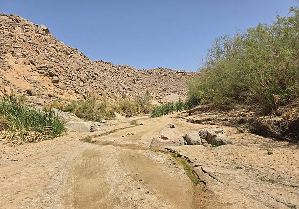 istock Damp wadi in the desert 2215008282