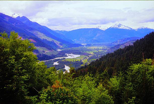 istock Valley below Mt Revelstoke National Park July 1991. 2215008538