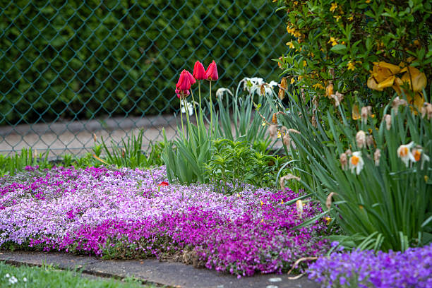 spring sign with flowers over a field full of flowers and green grass. spring arrival concept. 3d rendering