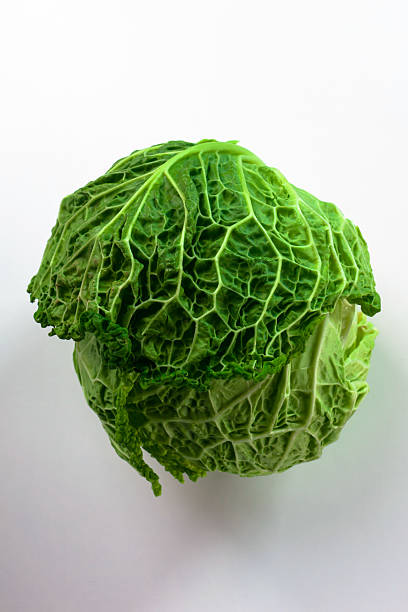 Fresh savoy cabbage featuring vibrant green leaves, isolated on a white background, highlighting its intricate texture and perfect for various culinary applications