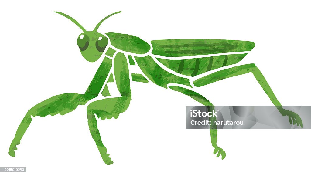 Simple Mantis Vector Simple Praying Mantis Vector Illustration Stock Illustration - Download ...