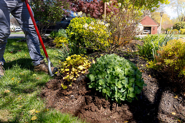 istock Homeowner Edges Flower Bed 2215014707