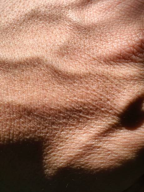 Asian men's feet skin texture is brown with visible veins