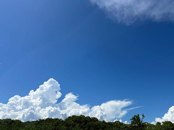 A striking view of the Caribbean sky, filled with dramatic clouds as a tropical storm approaches. Silhouettes of palm trees highlight the brewing storm just hours away in Mexico.