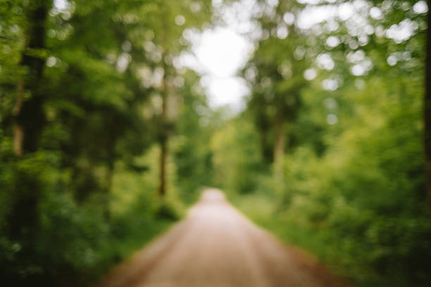 Blurred or blurry footpath in a forest. Green lush vegetation background, defocus image, bokeh highlight, no people.