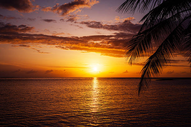istock Tropical paradise beach with dramatic sky and colorful clouds during the sunset 2215032098