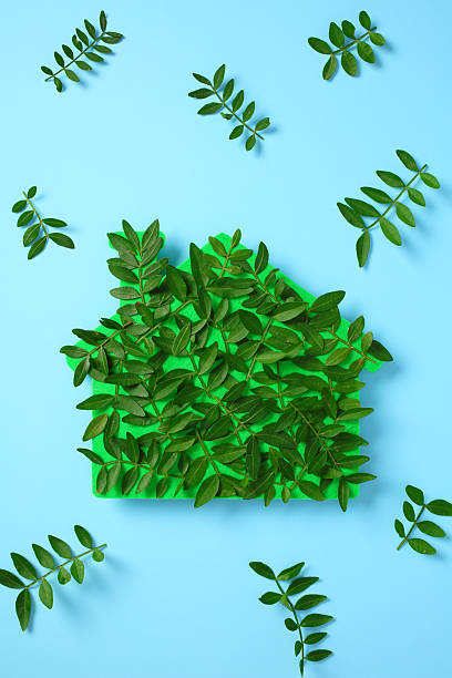 istock Eco-friendly house made from leaves on blue background 2215035192