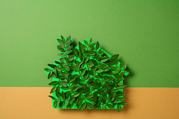 istock Green leaf house. Eco-friendly home concept 2215035435