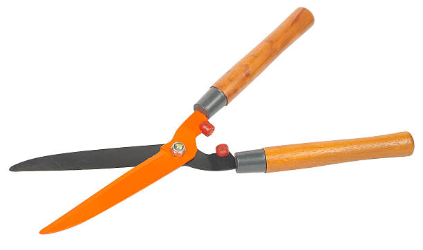 istock garden hedge shears featuring sharp orange and black blades 2215039470