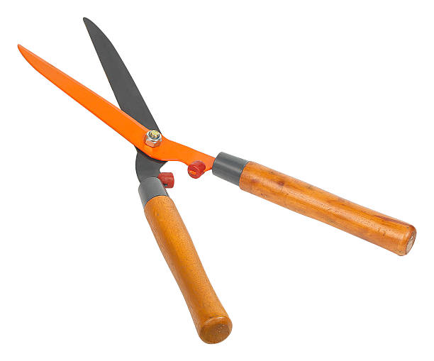 istock garden hedge shears featuring sharp orange and black blades 2215039473