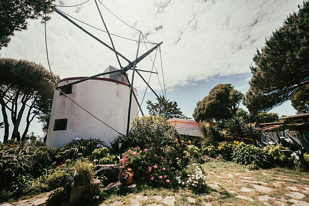 Portugal.Algarve. Traditional house painted in white and bright blue moldings with typical fireplace ornaments on the roof and vegetation of mild climate. Architectural authenticity.