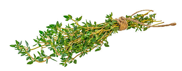 istock Bunch of thyme tied with twine, Thyme spice isolated on white background 2215044211