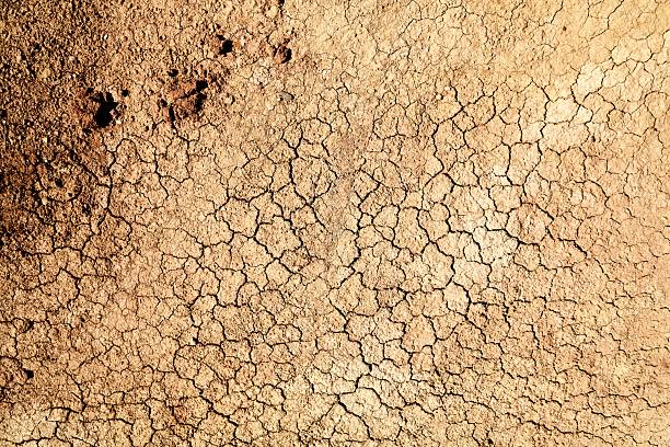 brown Earth Texture with cracks soil background