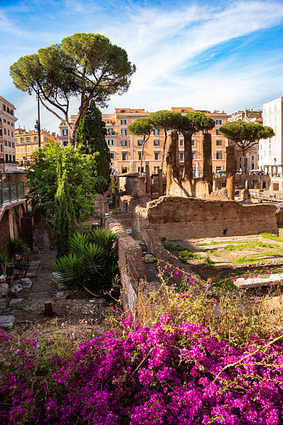 istock Ruins in Rome city, Italy 2215053393