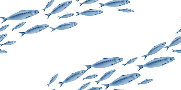 istock Sardine fish in seamless diagonal border swimming in a shoal stylized watercolor illustration for fish restaurants, websites, posters, fish markets and stores 2215056157