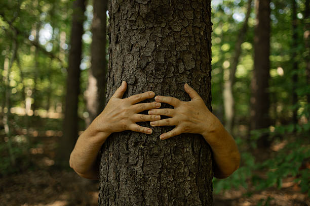 istock Person Hugging Tree with Open Hands in Forest Showing Deep Connection to Nature and Earth 2215059964